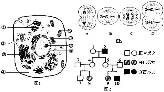 图1是高等动物细胞亚显微结构模式图,图2是某种生物雄性个体中的细胞