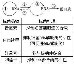 和表达的途径,下表为几种微生物的作用原理,结