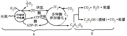 (3)b释放初中生物试题 呼吸作用的概念 下列人类生产活动中主要与