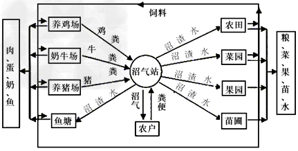 建设社会主义新农村的关键是构建和谐社会,发展生态农业,走可持续发展