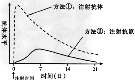 下图中的曲线表示两种使人体获得免疫力的方法