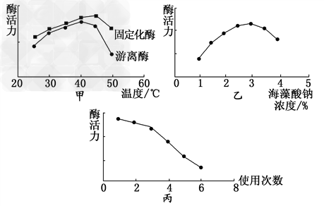 固定的人口_人口普查(2)