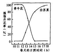 10年广东省中学生生物学联赛试卷 高一生物模拟题p35 新东方在线网络课堂 10年广东省中学生生物学联赛试卷 高一生物模拟题p35 新东方在线网络课堂