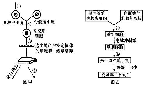 Aa连续自交选育AA原理是什么_幸福是什么图片(3)