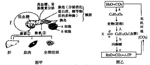 11届河南省开封高中高三模拟考试 理综 生物部分 高考生物三模p3 新东方在线网络课堂