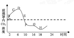 将一植物放在密闭的玻璃罩内 置于室外进行培养 用co2浓度测定仪测得了该玻璃罩内co2浓度的变化情况 绘成下图曲线 下列有关说法正确的是 新东方在线网络课堂