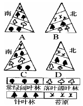 模拟山简谱_游山恋简谱