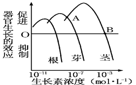 头发生长液什么原理_黛歆头发生长液(3)