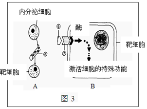 12 13学年江苏省江都市嘶马中学高二下学期期末考试生物试卷 带解析 高二生物真题p7 新东方在线网络课堂