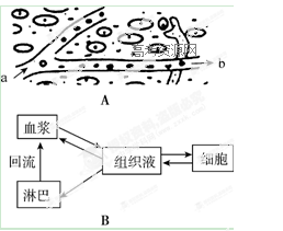 13 14学年河北省衡水中学高二上学期一调考试生物试卷 带解析 高二生物真题p11 新东方在线网络课堂