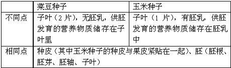 玉米种子和菜豆种子中 都具有的结构是a 种皮和果皮b 胚和胚乳c 种皮和胚d 子叶和胚乳 新东方在线网络课堂