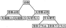 有五种动物 龟 蜗牛 蚯蚓 海葵 鸽子 试根据下面的二叉式检索表 如图 填写相应动物的名称 1 2 3 4 新东方在线网络课堂