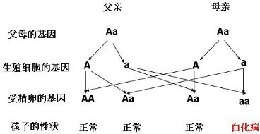 2013092518332119130404.png