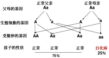 2013092819510044443179.png