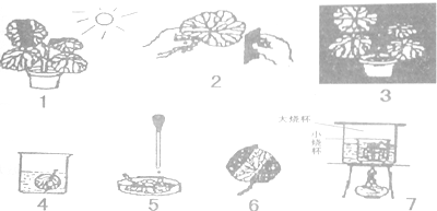 2014061019531053229156.png