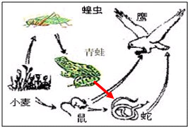 2014082513565244533063.png