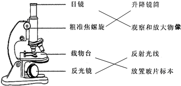 2014082513565458225202.png