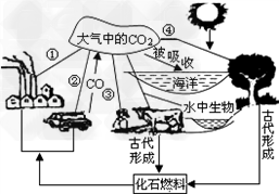 下图是自然界碳循环示意图 1 请在图中 线上补加箭头 其他箭头已画出 正确表示碳循环中的各种变化关系 2 大气中co2的产生途径有多种 其中 新东方在线网络课堂