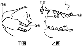 201102101425143413864.gif