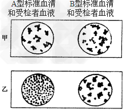 2012080116522942711348.png