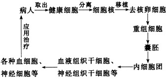 2011121410544237517124.gif