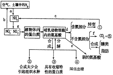 下图是自然界中的氮的转化的部分过程示意图 1 图中完成b过程的微生物的异化作用类型 完成c过程的微生物在生态系统中的角色是 新东方在线网络课堂