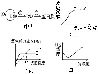 高中生物試題 光合作用 下列對有關圖像的說法中,不正確. a.